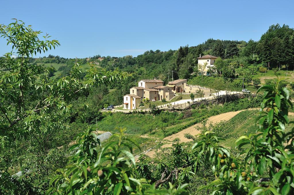 Гостьовий будинок Country House Ca' Vernaccia Урбіно Екстер'єр фото